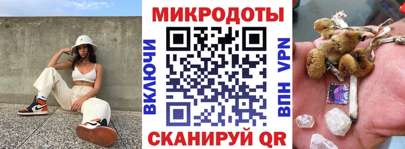 наркошоп  Аша  Псилоцибиновые грибы мицелий 