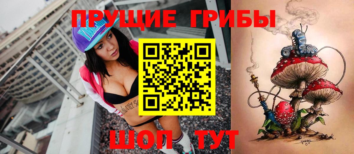 Аша  Псилоцибиновые грибы GOLDEN TEACHER  Псилоцибиновые грибы прущие грибы  Вход с VPN 