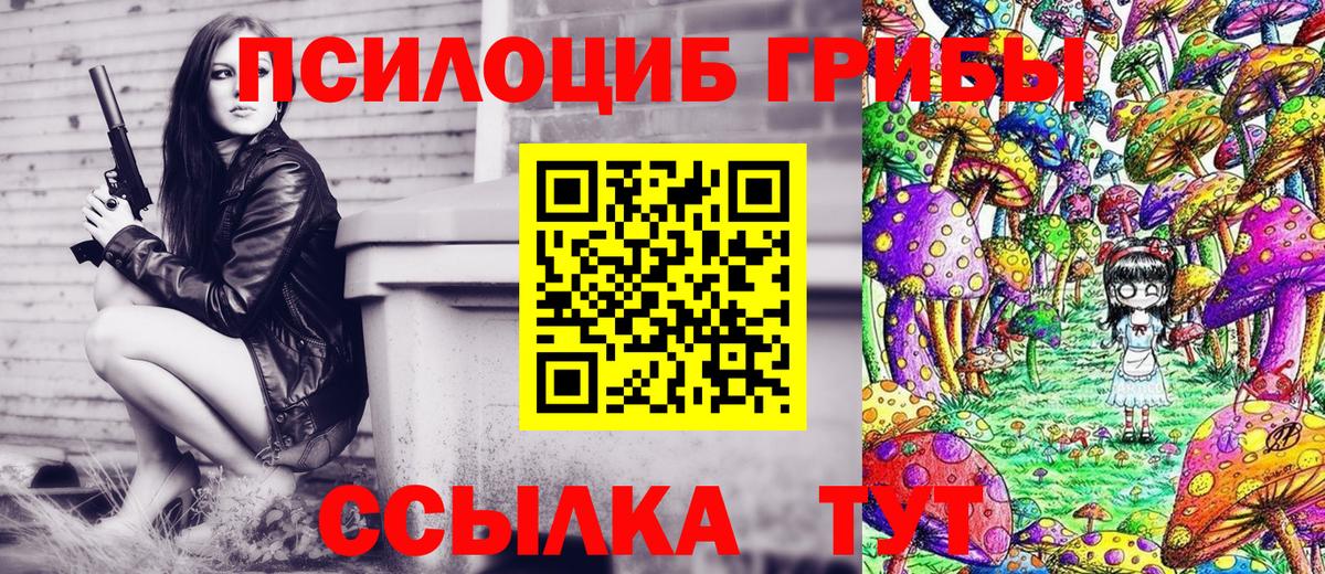 Галлюциногенные грибы прущие грибы  Галлюциногенные грибы мухоморы  Аша 